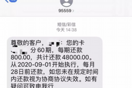 定边遇到恶意拖欠？专业追讨公司帮您解决烦恼